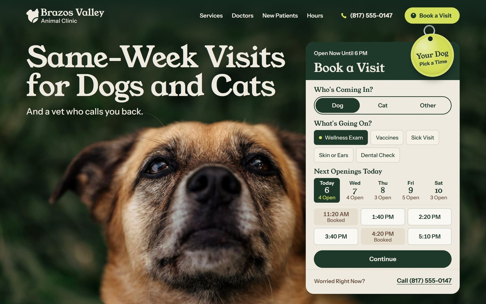 Brazos Valley Animal Clinic, a demo site, at computer size.