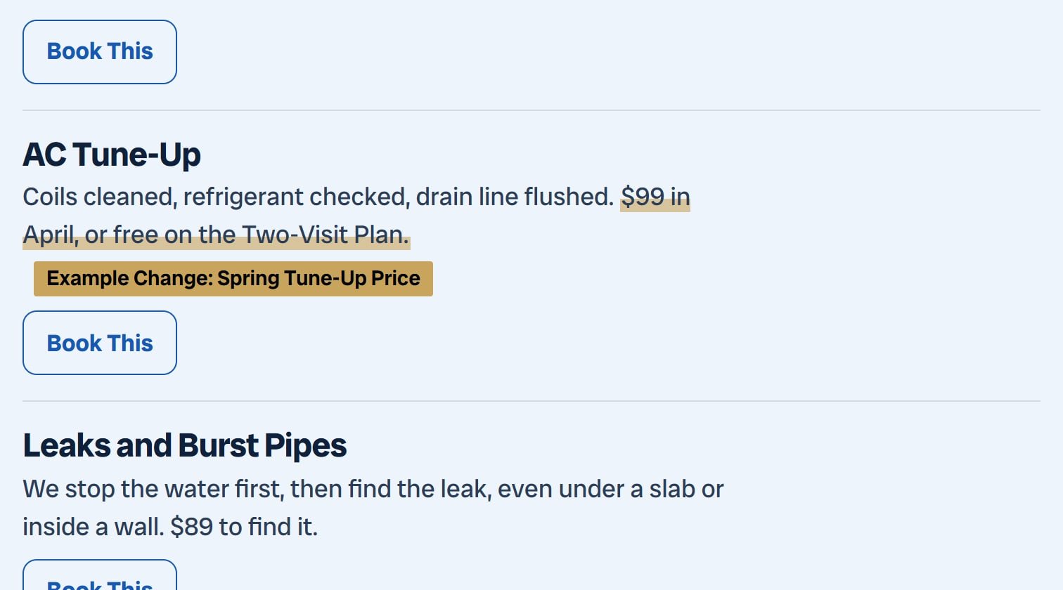 Lone Star Air & Plumbing, after: The AC Tune-Up line on the services list shows $99 in April instead of $119.