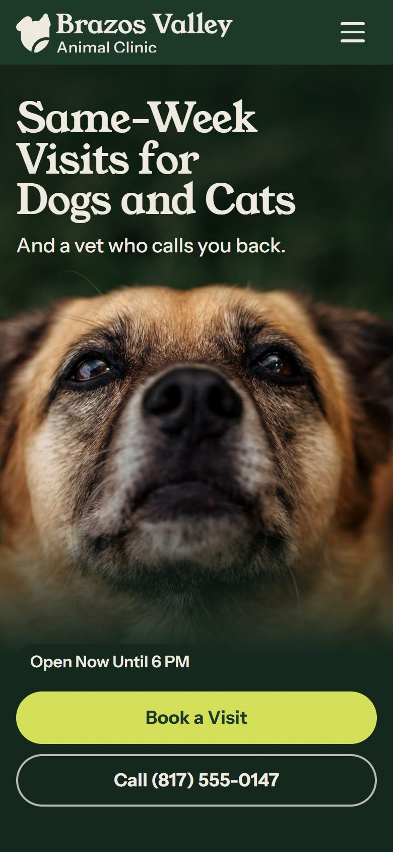 Brazos Valley Animal Clinic, a demo site, at phone size.
