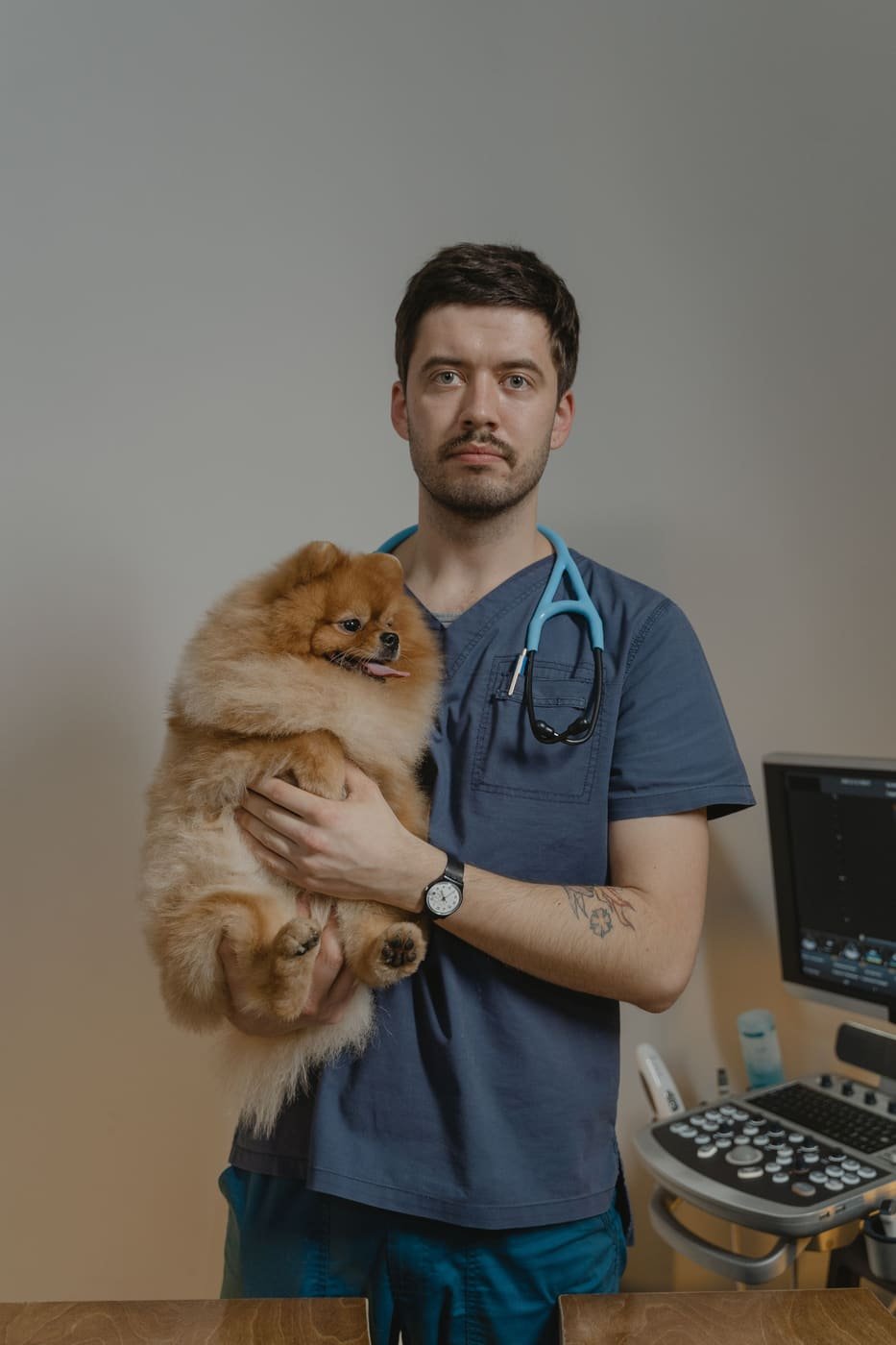 Dr. Wes Cole in blue scrubs holding a fluffy orange Pomeranian