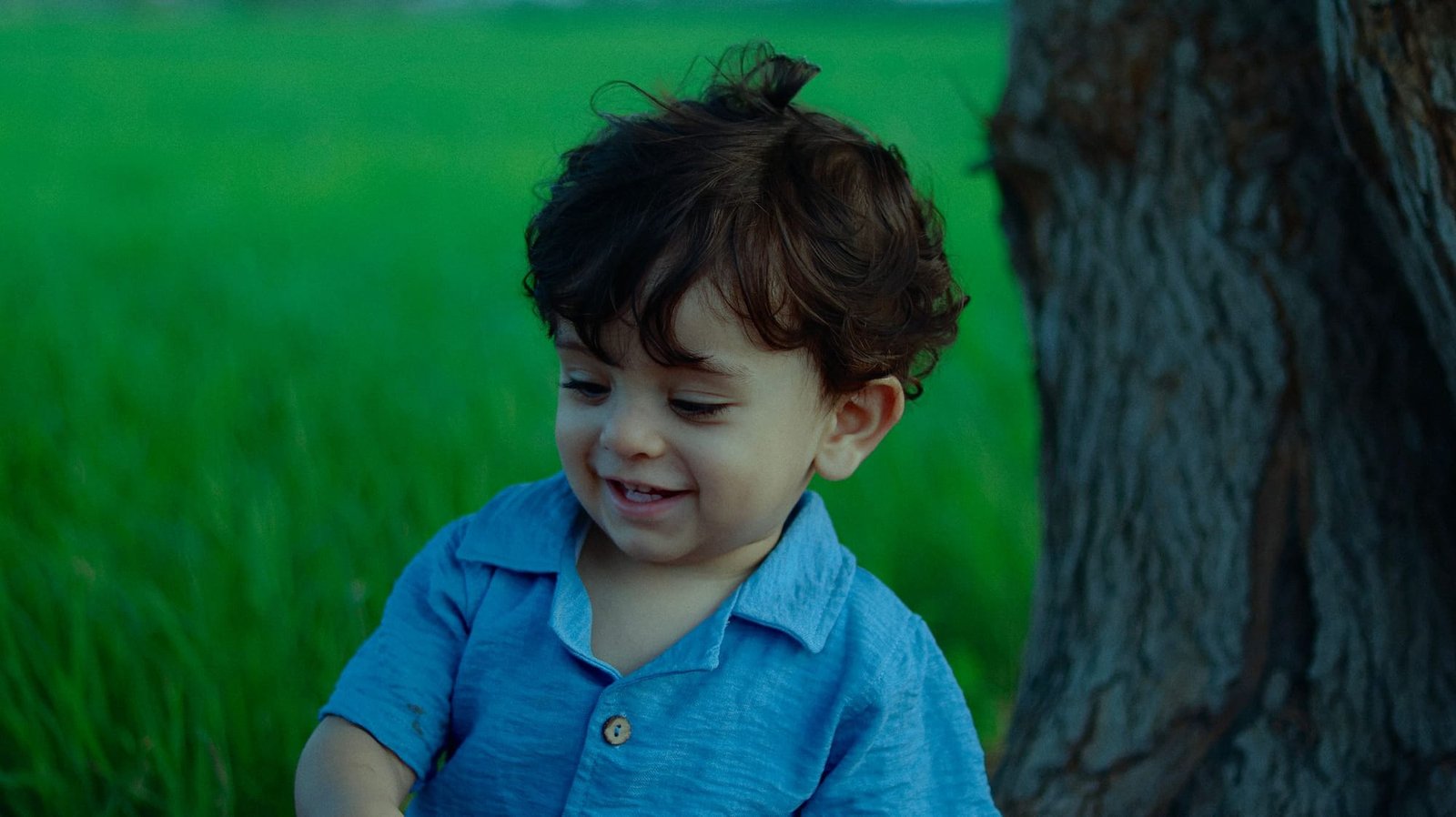 A smiling toddler in a blue shirt beside the trunk of a big tree