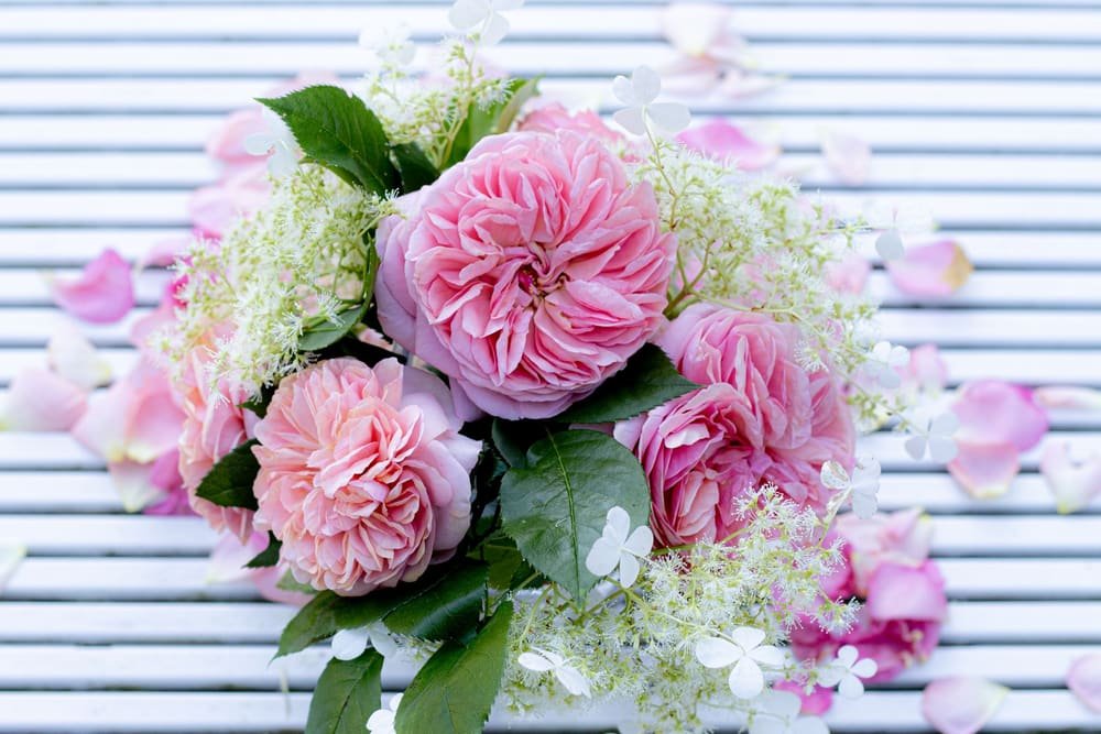 Pink garden roses and white lace flower laid on a striped table