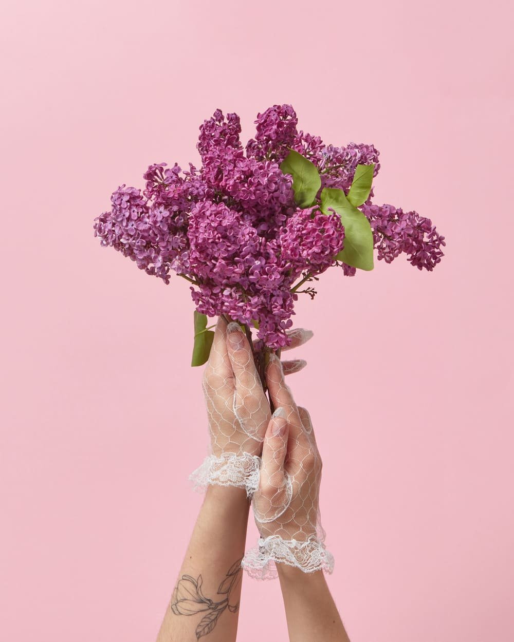 A bunch of purple lilac held up against a blush wall